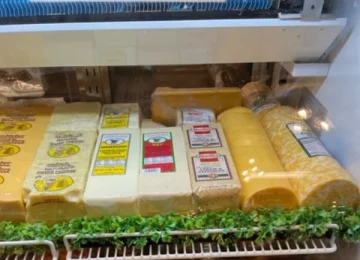 cheese and meat display in store