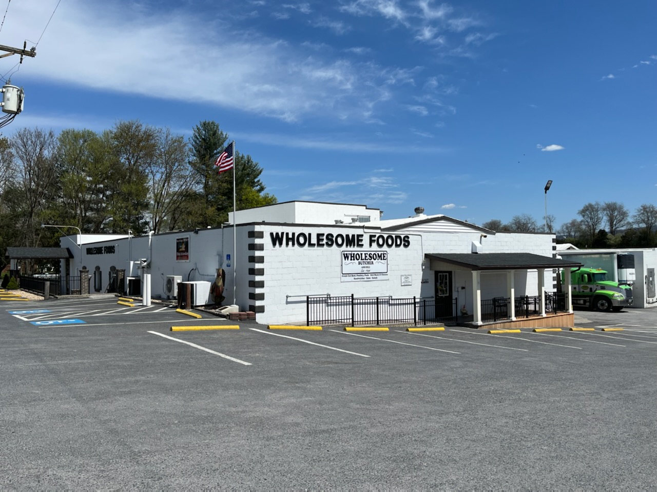 wholesome foods inc 